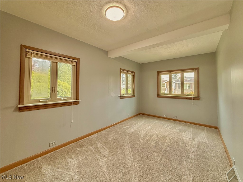 Village Chippewa Lake - Residential