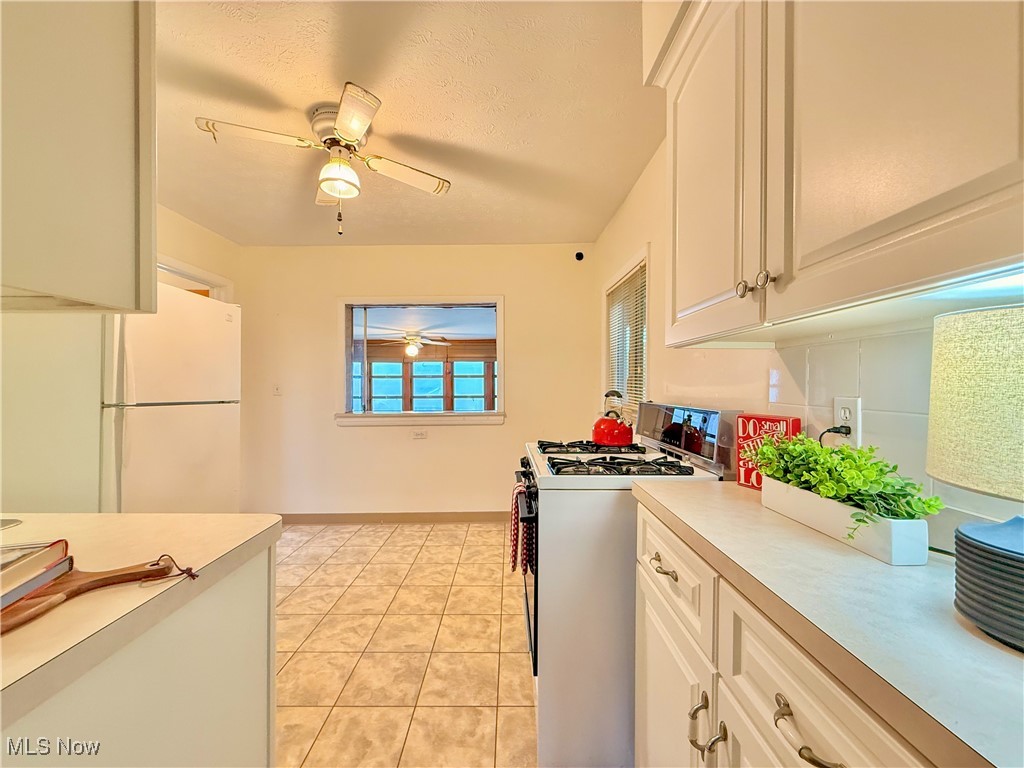 Village Chippewa Lake - Residential