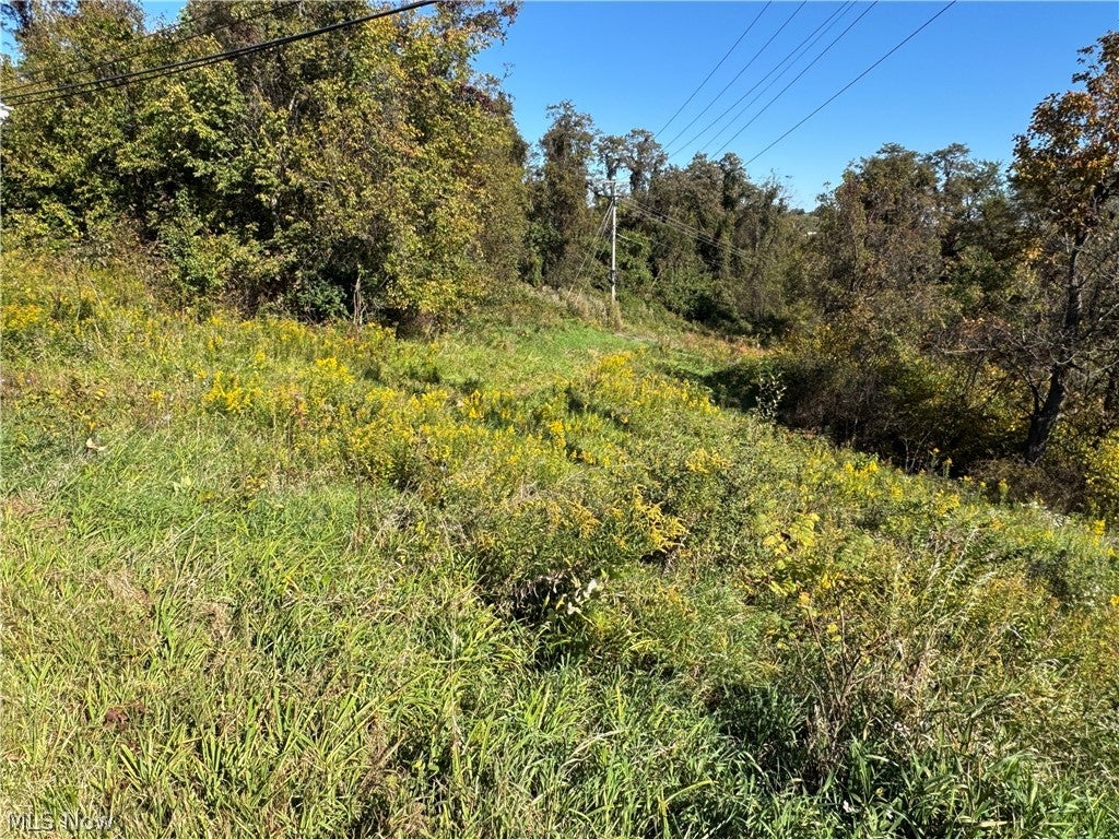 00000 Willow Grove Road