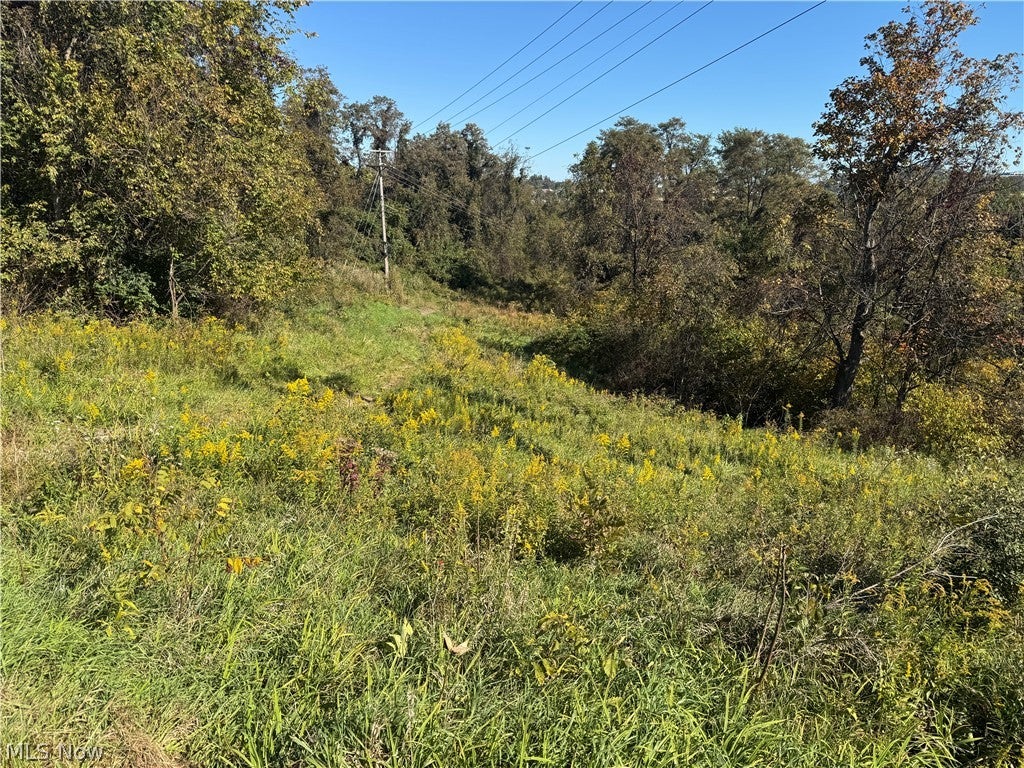 00000 Willow Grove Road