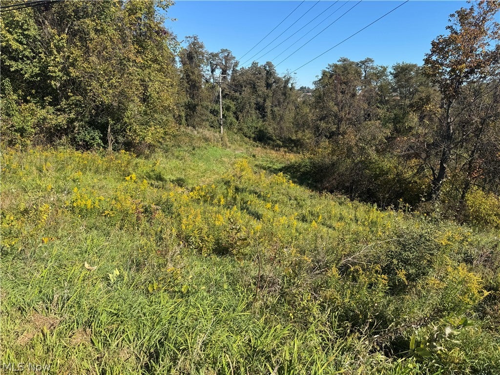 00000 Willow Grove Road