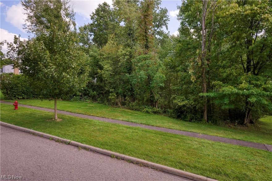 A great opportunity to own and build in the desired Twinsburg community. Nestled in a lovely neighborhood, clear some space between the mature trees to offer some cozy privacy, and build your dream home today!