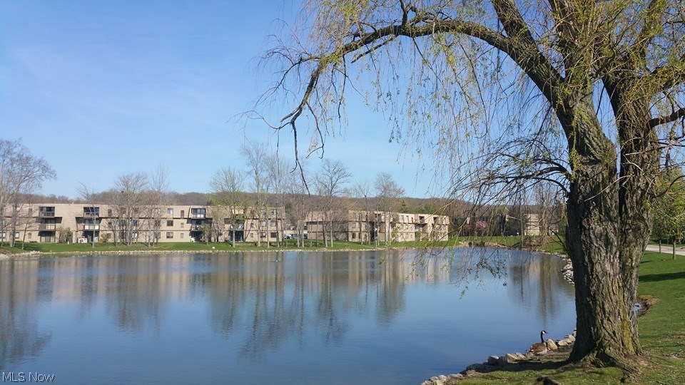 Sunrise Cove Condo - Residential