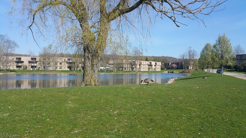 Sunrise Cove Condo - Residential