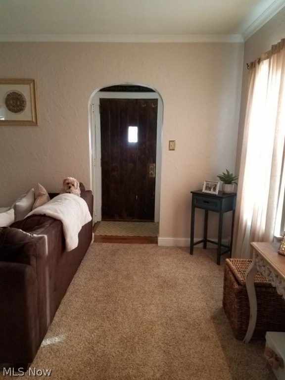 Hollywoo SD - Residential