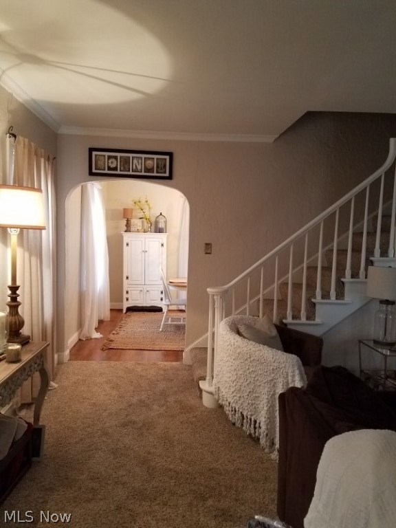 Hollywoo SD - Residential