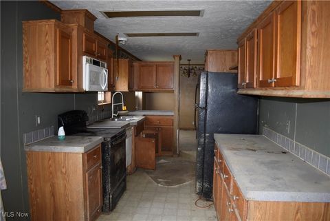 Tiny photo for 2219 State Route 170, East Palestine, OH 44413 (MLS # 5165615)