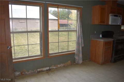 Tiny photo for 2219 State Route 170, East Palestine, OH 44413 (MLS # 5165615)