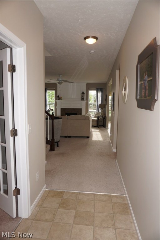 Windsor Park - Residential