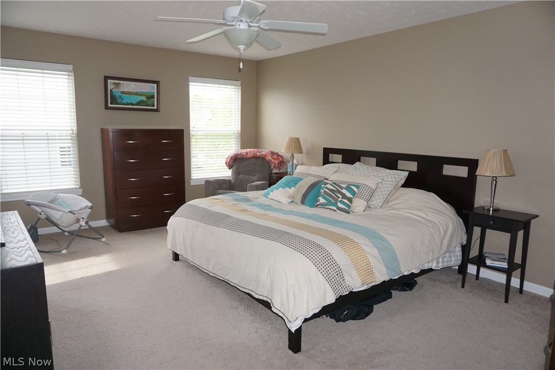 Windsor Park - Residential