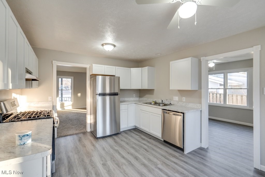 Geauga Lake Orchard - Residential