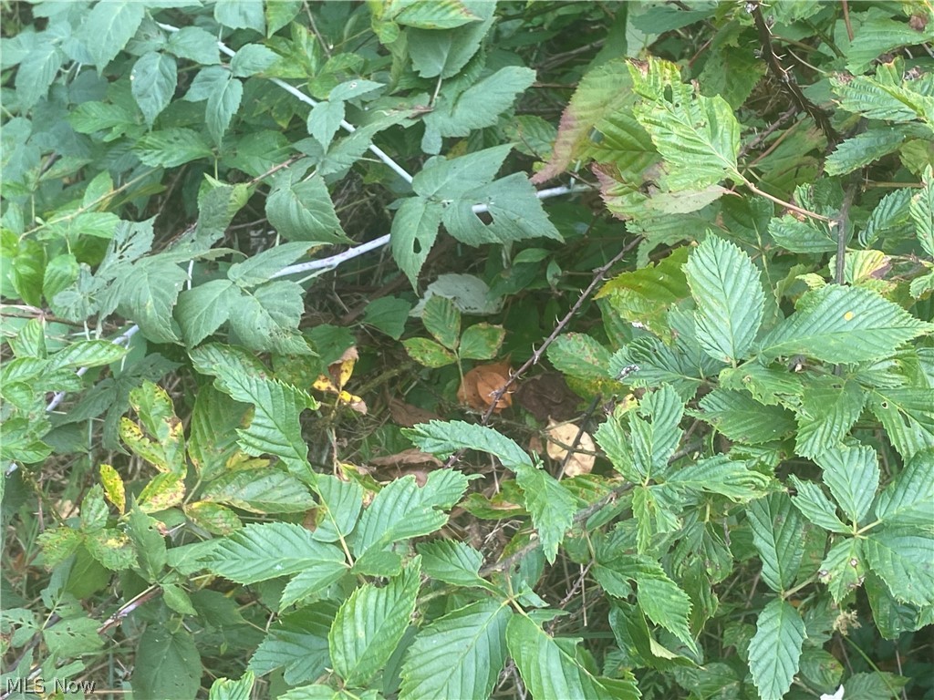 Atwater - Residential