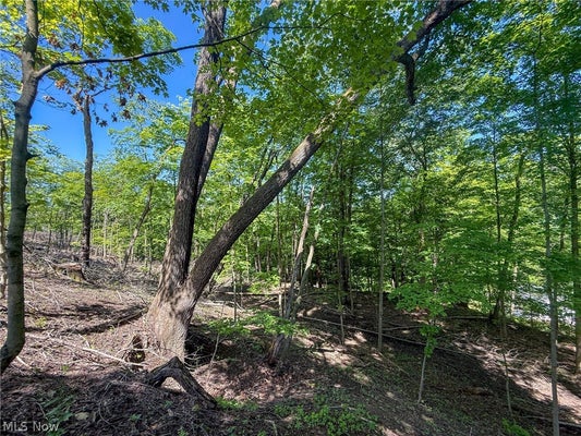 1 ALTAMONT RD, MINGO JUNCTION, OH 43938 - Image 2c54bbe34d727b9cb488fbe21ca7a5db/2307028780