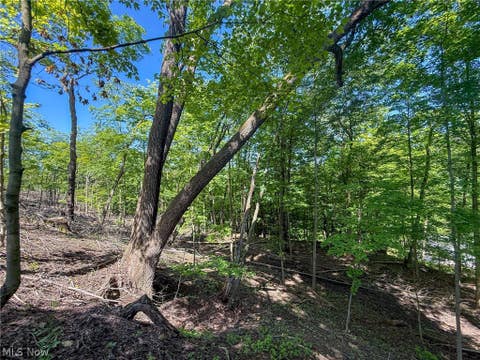 Vacant Land For Sale - LOT 1 Altamont Rd<br/> Mingo Junction, OH 43938