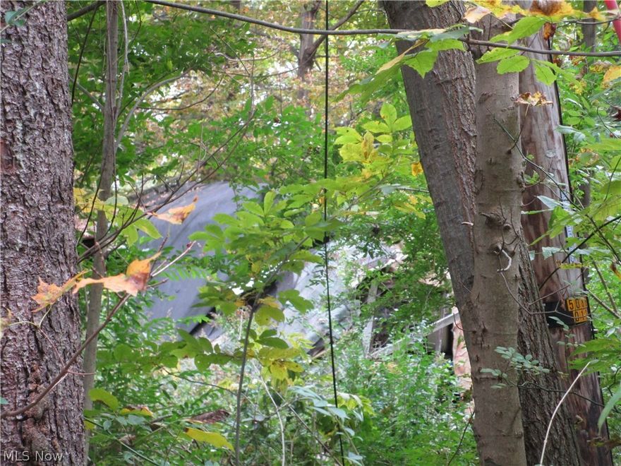 Property fronts on the Grand River & also has frontage on Lampson Road. Driveway is overgrown & exact location is uncertain. Structures on property are unsafe, do not enter.