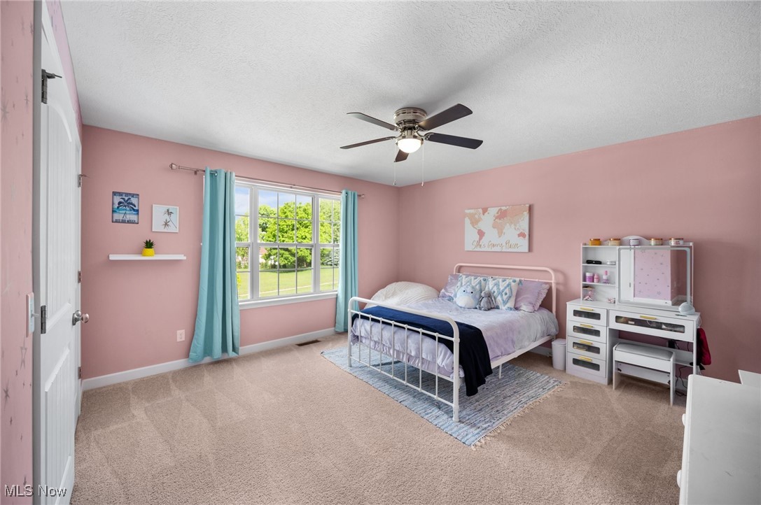 1347 Elizabeth Court, Kent, Ohio image 35