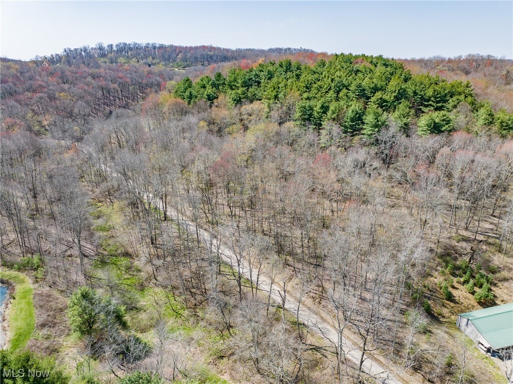 9100 Post Road, Jewett, Ohio image 44