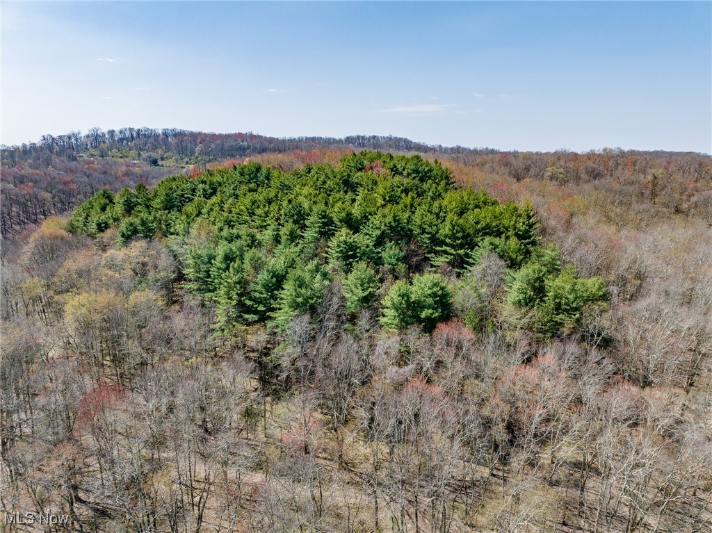 9100 Post Road, Jewett, Ohio image 41
