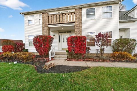 Photo of 6724 Larch Court, Oakwood Village, OH 44146 (MLS # 5180373)