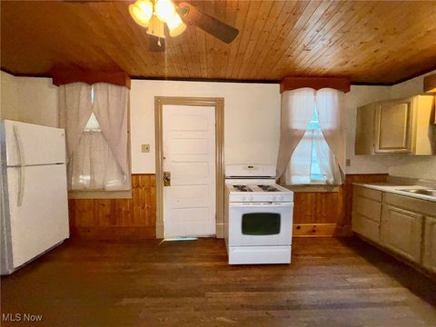 Tiny photo for 377 N Market Street, East Palestine, OH 44413 (MLS # 5149830)