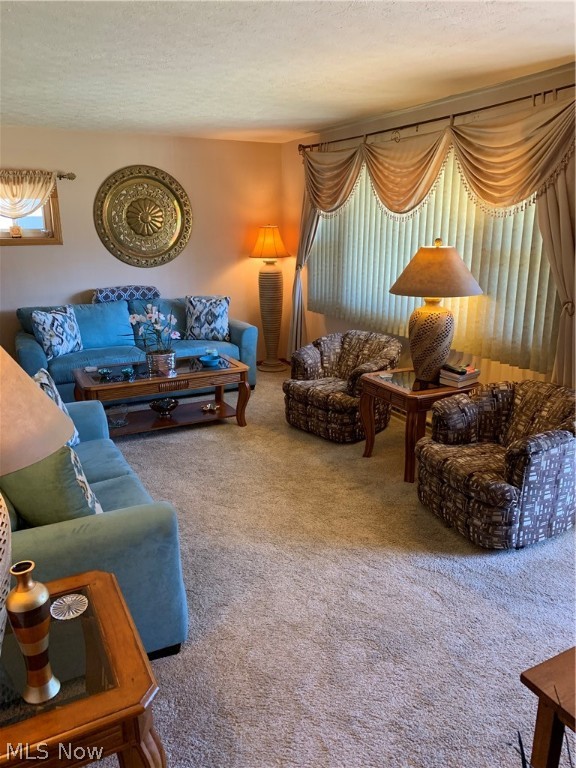 Shannon Heights - Residential