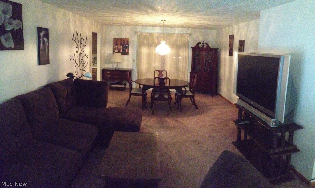 Bob O Link Condo - Residential