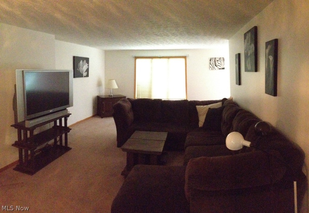 Bob O Link Condo - Residential