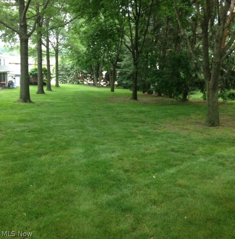 Bob O Link Condo - Residential