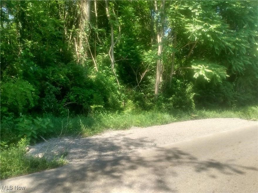 This 1.79 wooded acre lot makes the perfect homesite to build a private residence within the trees all while being located minutes from downtown. Access to electric on Butcher Road. No public water/sewer available. Well and Septic will need installed. Oil/Gas/Mineral Rights do not convey.