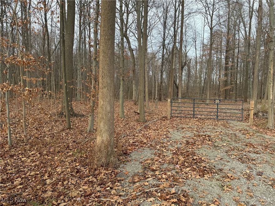 Looking for a tranquil spot with the privacy you would enjoy to build your new home? With a 250 foot frontage and a depth of 610 feet, this 3.5 acre parcel offers you the space for a mini farm, or your own gardening abilities to grow with your produce or flower gardens. The land has been perc tested and includes engineered septic plans. A driveway has been roughed in and the land is ready for construction!