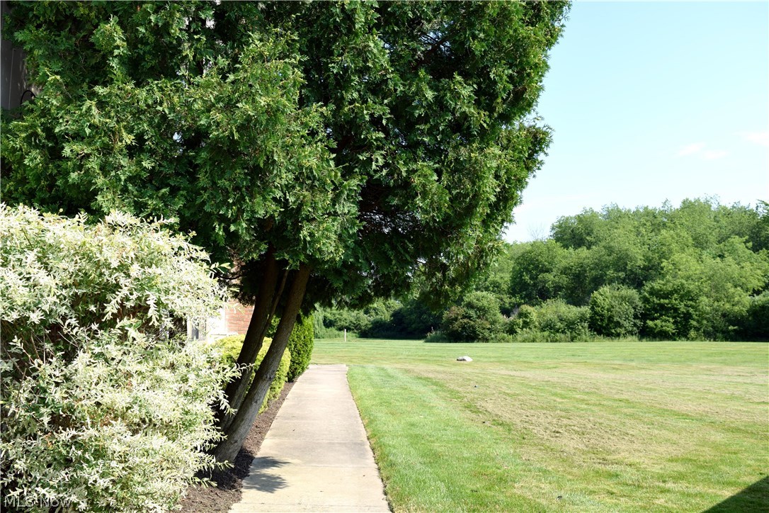 Copley Village Condominiums - Residential