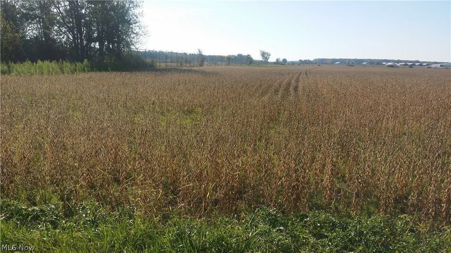 1.37 acres - 185' frontage. Irregular lot.