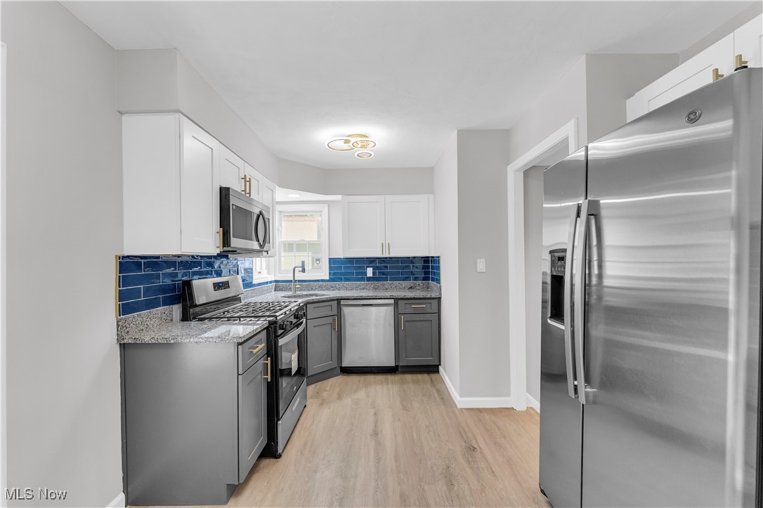 Euclid Colony Homes 02 - Residential