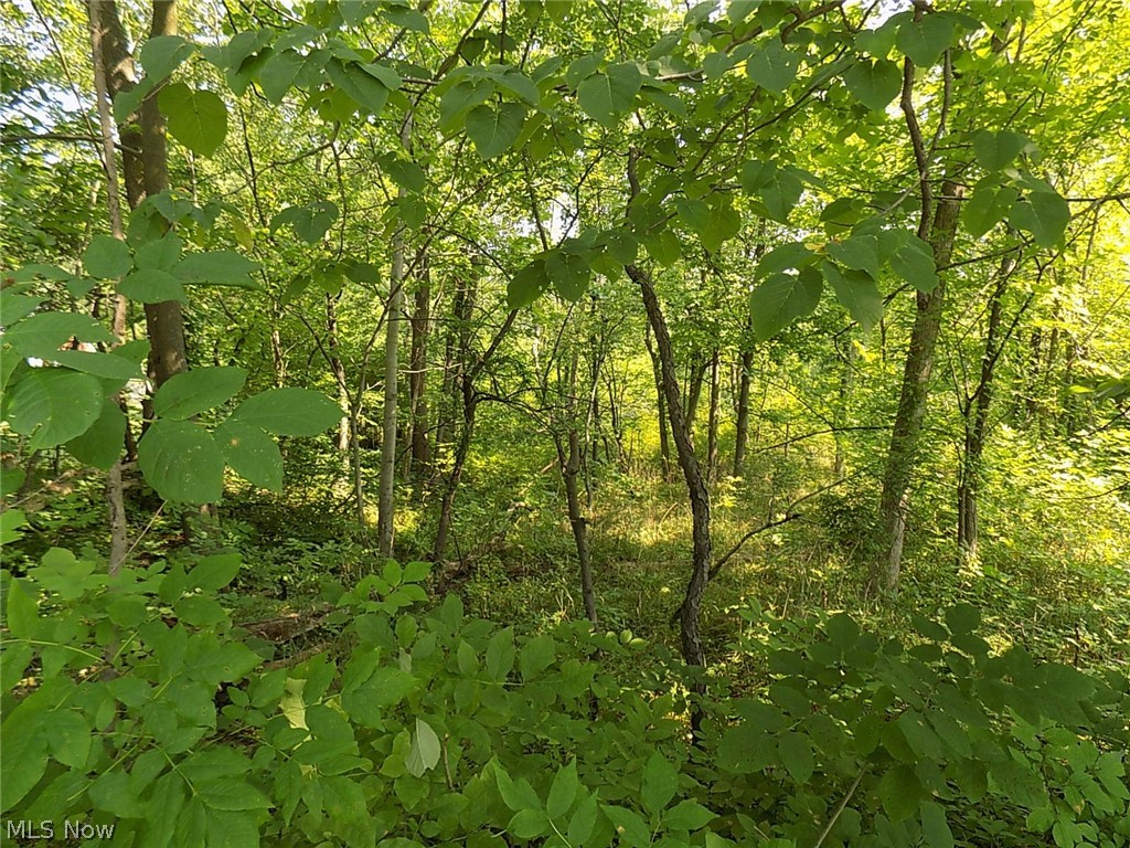 Drake Road, Strongsville, Ohio image 8