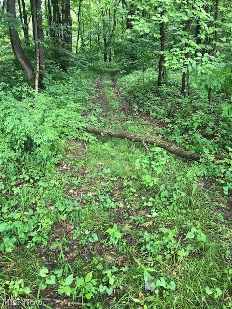 Beautiful setting for a getaway with seclusion and privacy. 15.8 wooded acres that would be perfect for bow hunting. City water hook up is available. Seller does not own mineral rights.