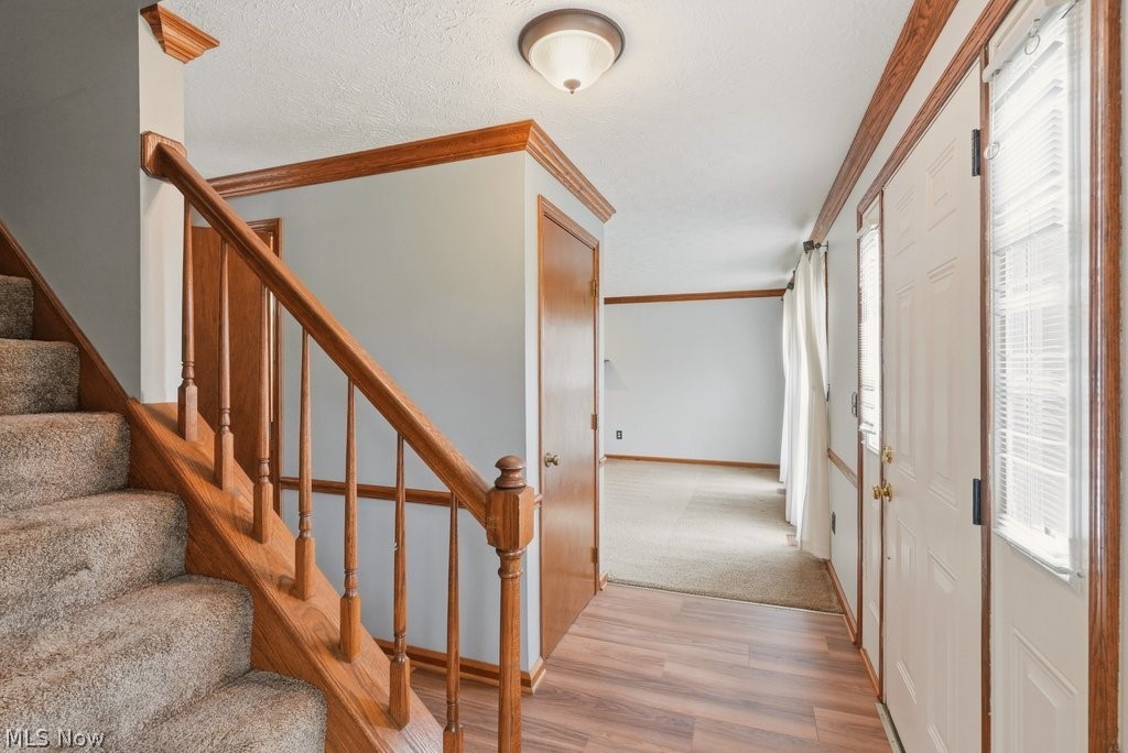 Terrace Glen - Residential