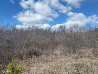 V/l Logan Horns Rd, Logan, Ohio image 7