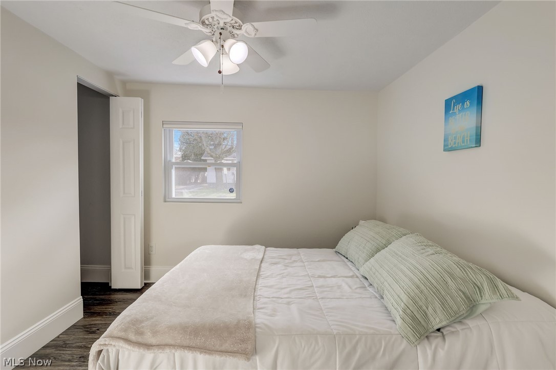 Courtland Street Allotment - Residential