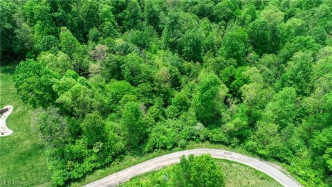 Vacant Land For Sale - 63590 Wintergreen Road<br/> Lore City, OH 43755