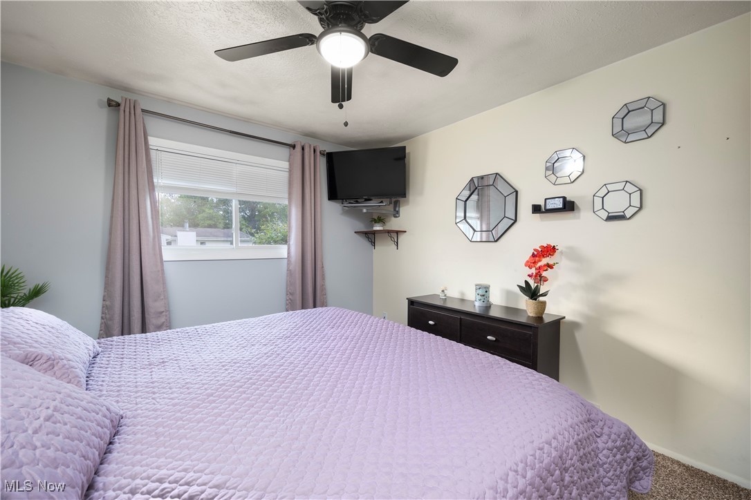 839 Delaware Avenue, Elyria, Ohio image 13