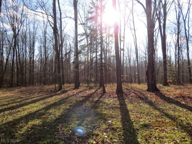 Moreland Hills Cos Hill & Dal - Residential