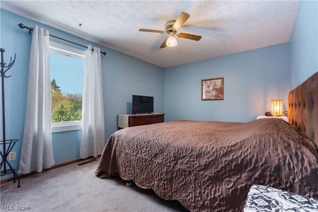 Wood Moor Allotment 07 - Residential