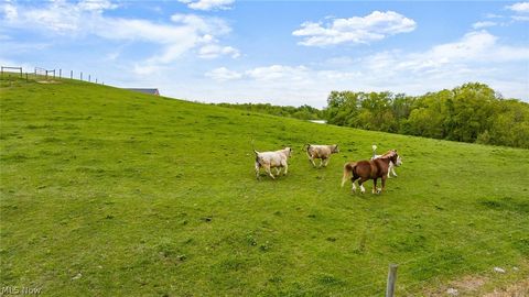 Tiny photo for 6805 Old Stagecoach Road, Frazeysburg, OH 43822 (MLS # 5210356)