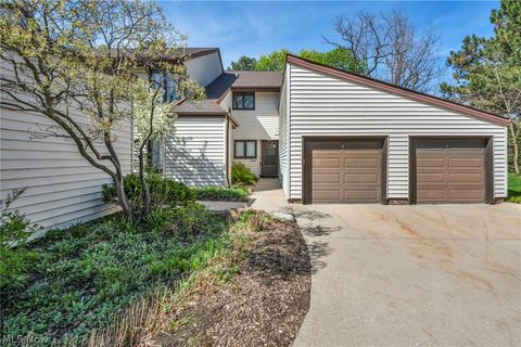 Photo of 3432 Mayfield Road, Cleveland Heights, OH 44118 (MLS # 5202633)