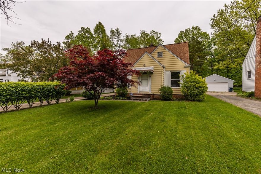 Welcome to this cute and spacious Cape Cod on a fantastic street in Lyndhurst! You will be amazed by the space as you walk in and around the property. A large and open living room sits between two spacious first floor bedrooms. Walk upstairs to a finished master bedroom/living space. Two full bathrooms (one on the first floor and the second on the basement level), a basement bar and a huge backyard make this the perfect home for entertainment and comfortable living. Newer windows (2014), furnace (2014), and roof (2012). Extremely close to the freeway, shopping, parks and restaurants! Schedule a showing today.