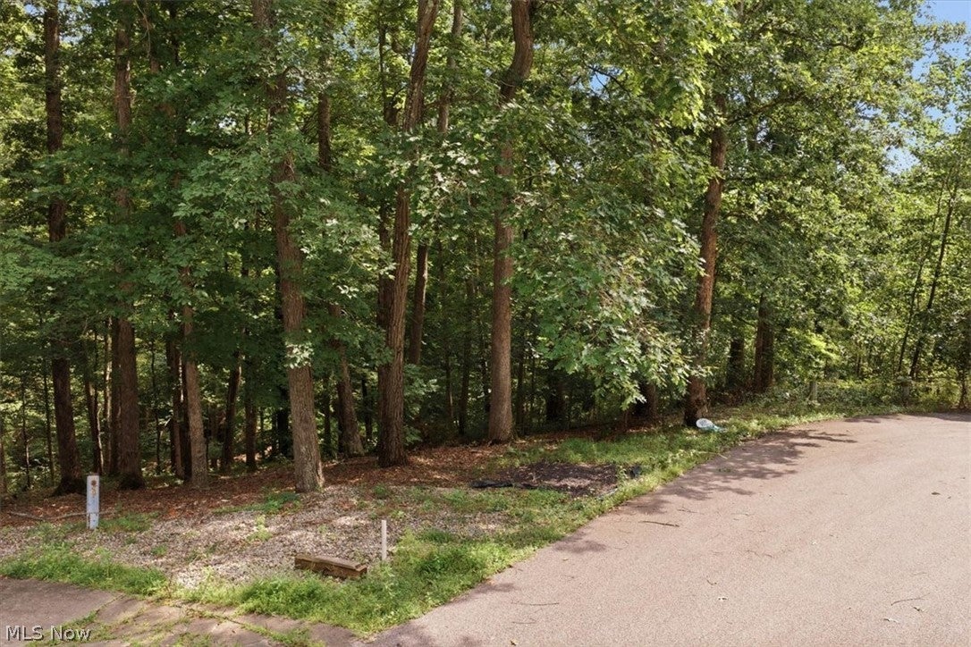0 Crestwood Court - Photo 3