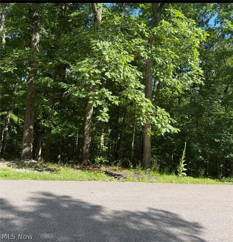 Vacant Land For Sale - Crestwood Court<br/> Belpre, OH 45714