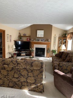 Burnham Hills 02 - Residential