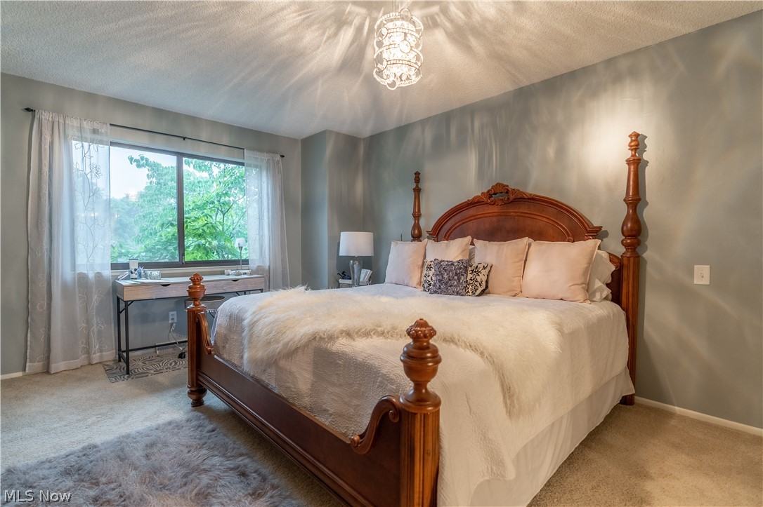 Hampton Woods - Residential