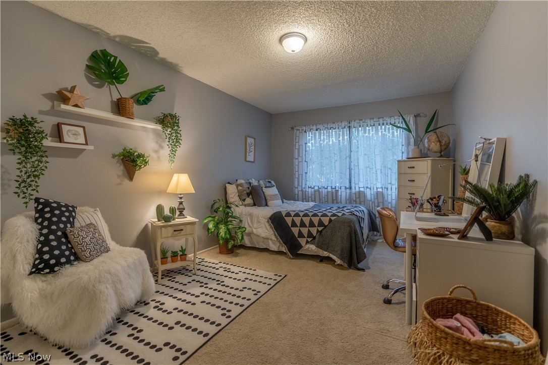 Hampton Woods - Residential